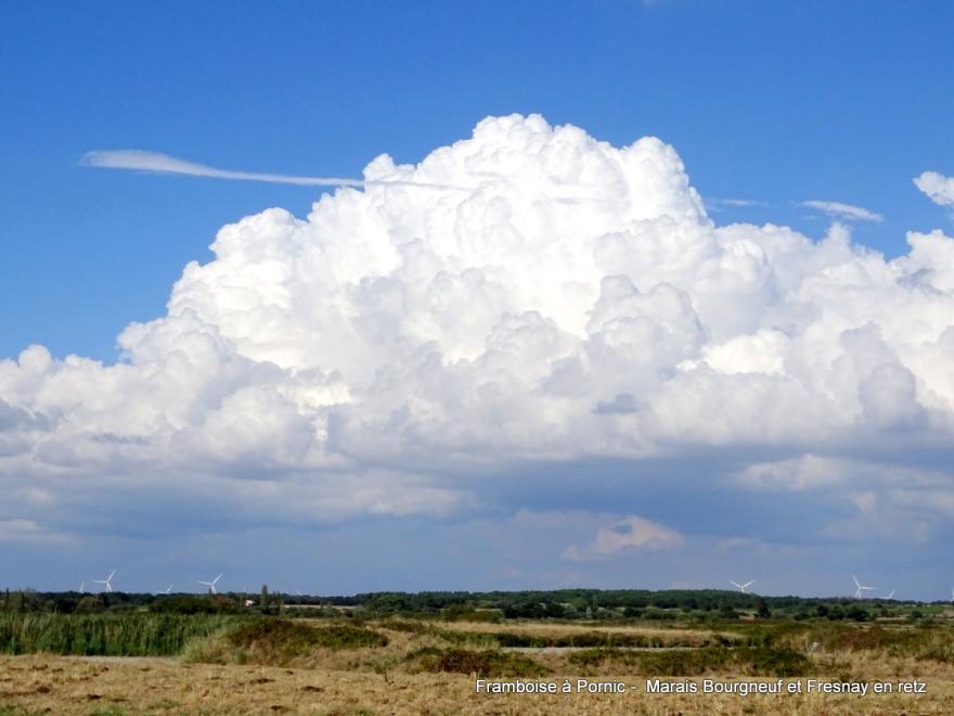 Sécheresse dans  le marais breton 2022