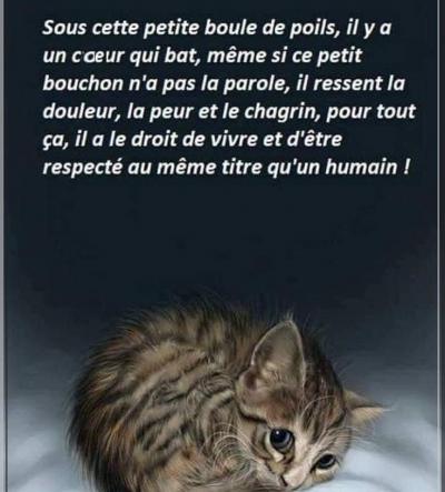 Le dimanche on se marre avec les Tiot.