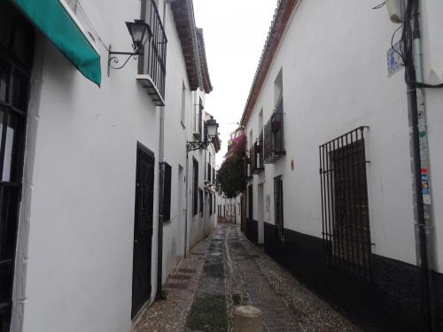 Grenade, L'Albaicín
