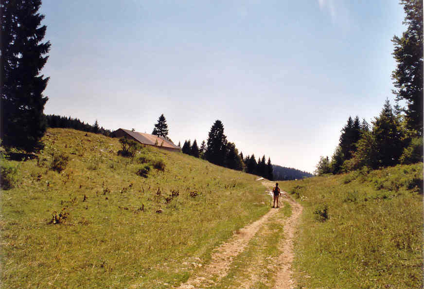 Dans les pas de moines défricheurs - Etape 5 - Les Créssonnières - Lamoura (25km) 