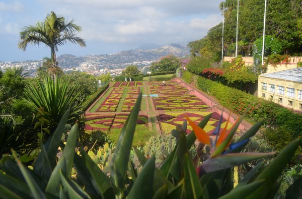 Circuit en étoile à Madère : Visite de Funchal