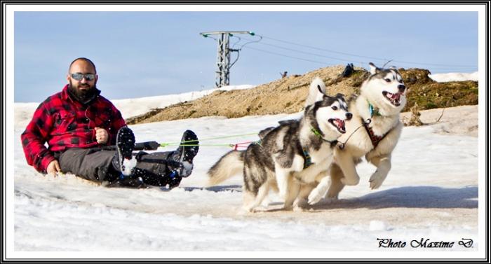Huskys des neiges III (12 avril 2019)