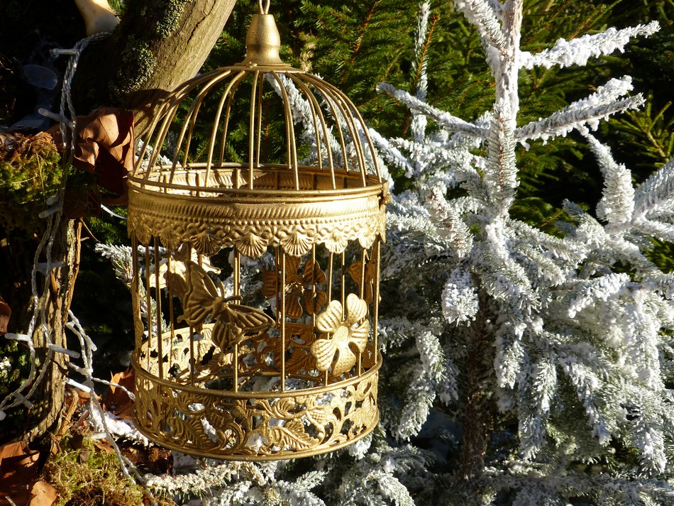 Alice, au Pays des ... amiénois