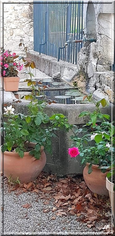 1009 - Séguret dans le Vaucluse (84) !