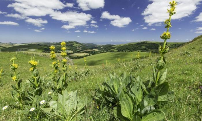Département du Puy de Dôme