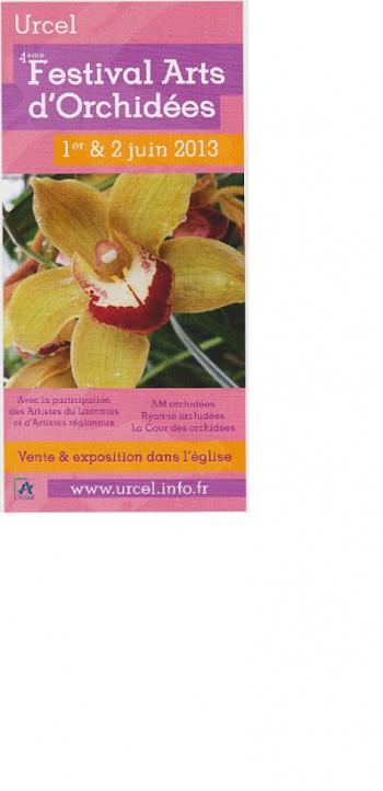 AFFICHE_ORCHIDEE_001-2-63b02