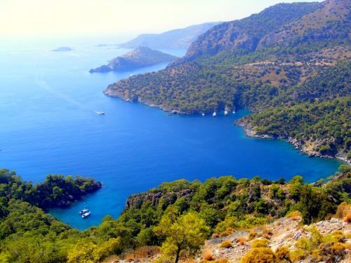 Le jardin de la Reine d'Ithaque