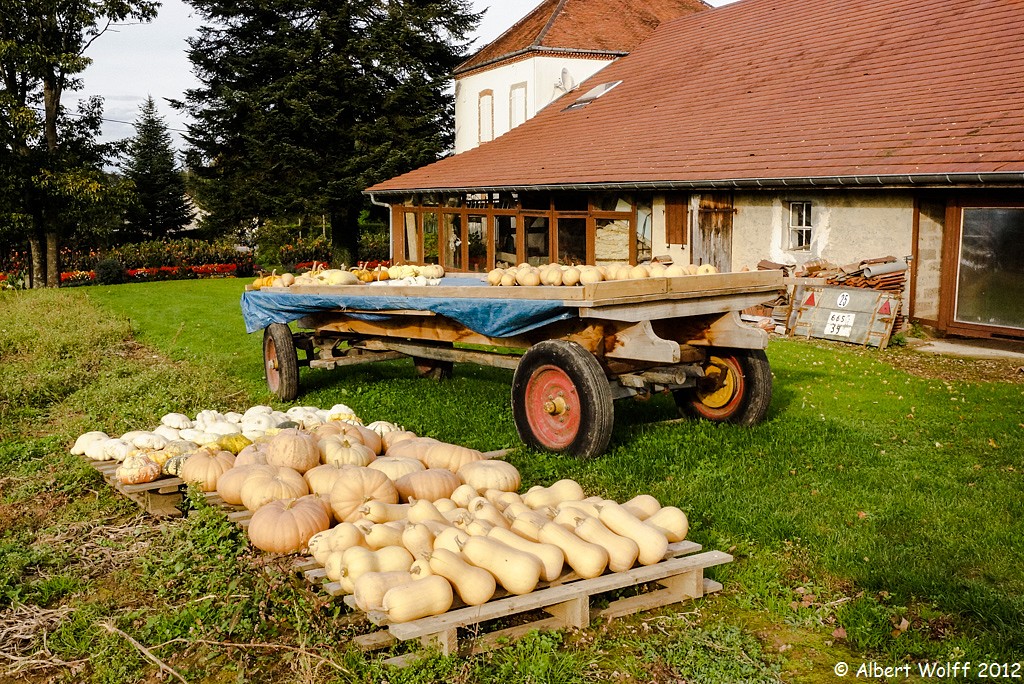 Un jardin extraordinaire (Part 2 et fin)