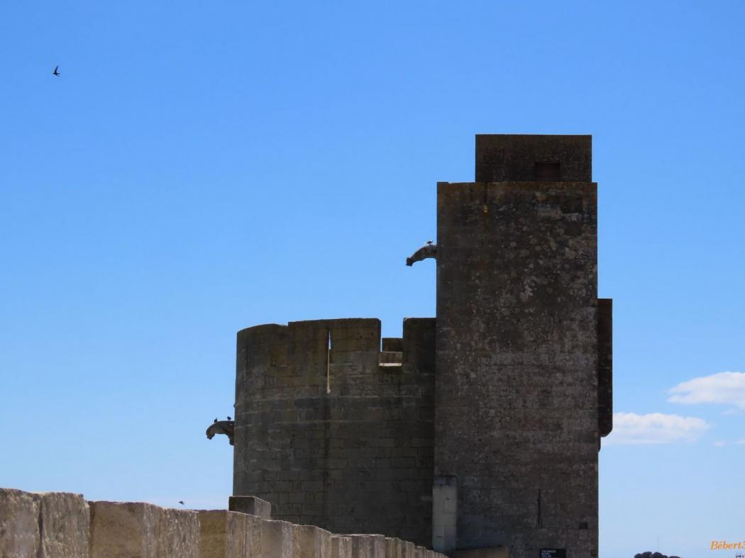 Aigues-Mortes en 2021 
