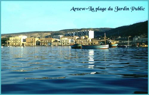 Rencontre avec les «autres» pieds-noirs : ceux restés en Algérie