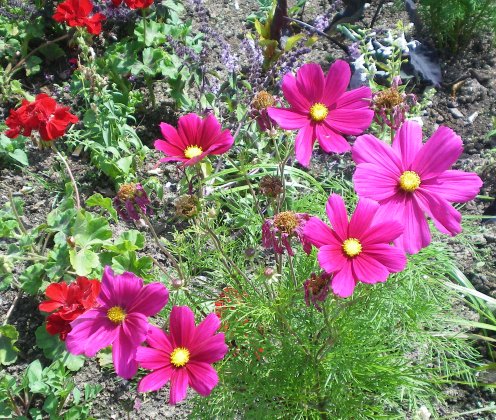 Image02