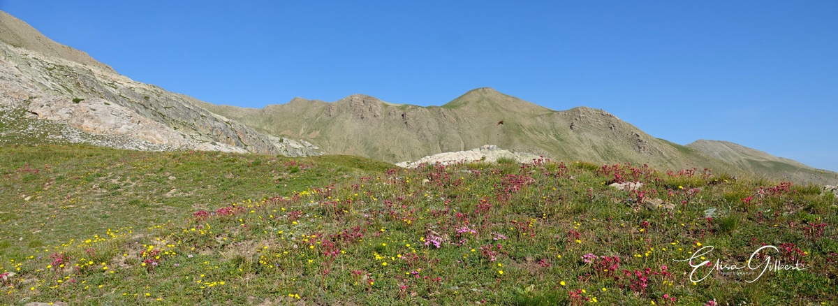 Une journée d'Août en montagne