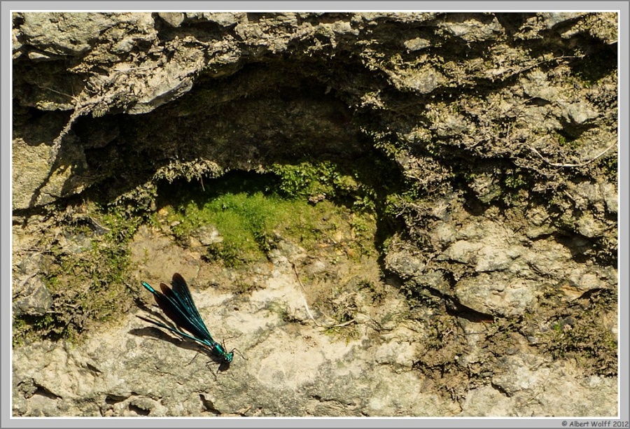 Regard autour de moi