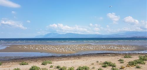 Le B de l'intérieur !