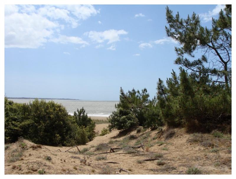 La Pierre Attelée St Brévin les Pins  