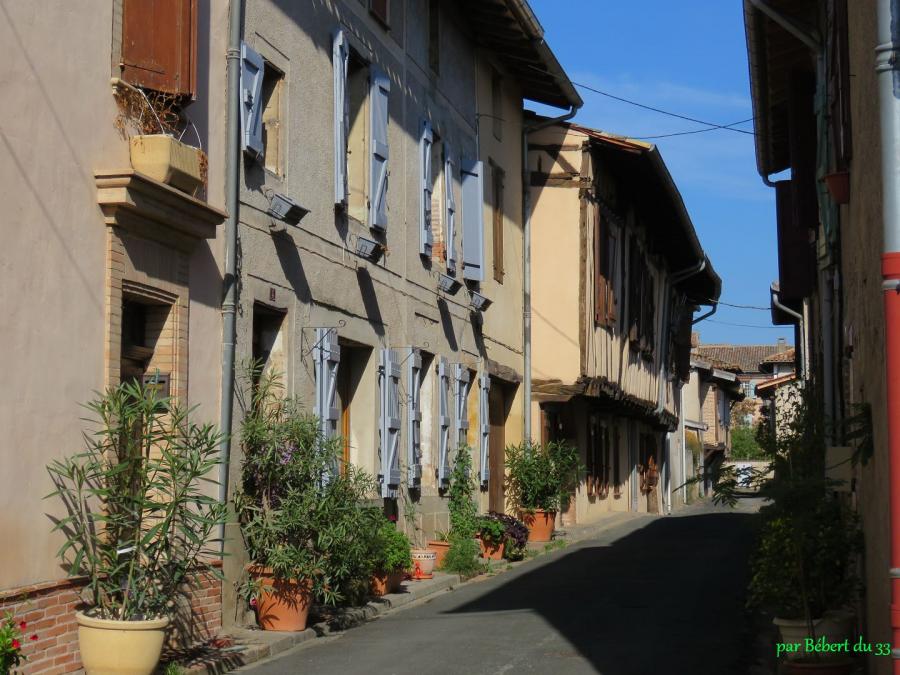 Lisle sur Tarn  (81)