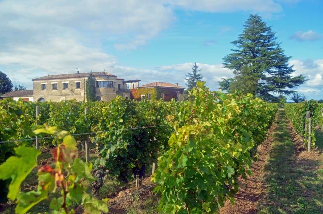 Vacances en aquitaine 6 - Visite de Saint-Emilion