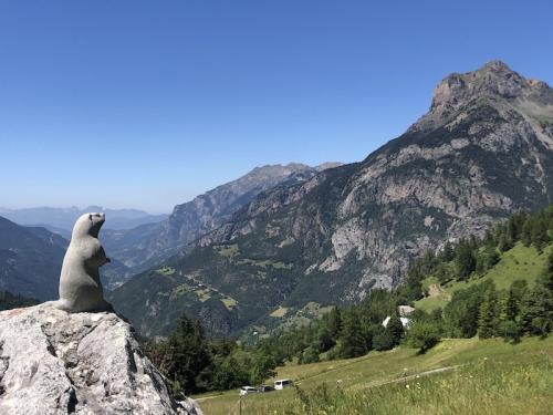 Col de Terre Blanche