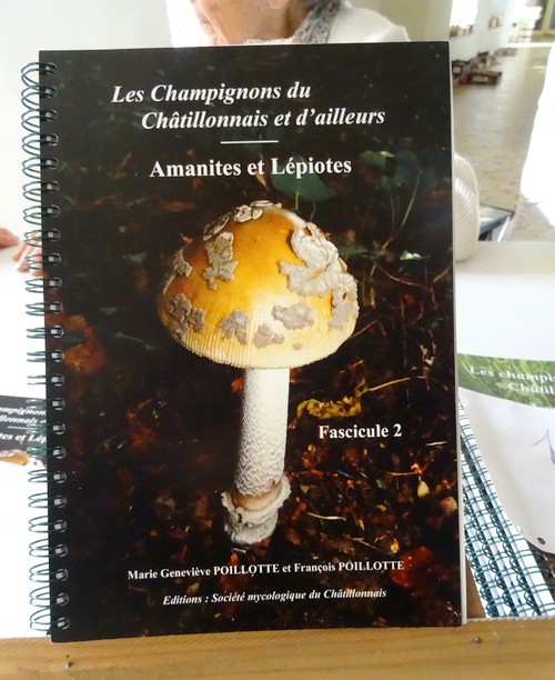 Une bien belle exposition mycologique a eu lieu à Châtillon sur Seine le week-end dernier....