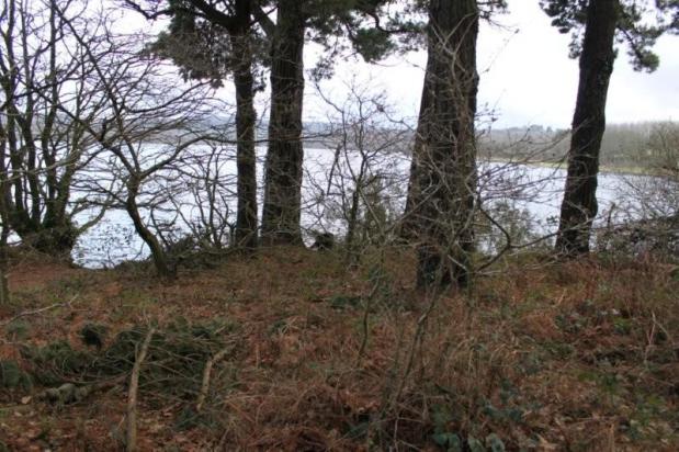 Au lac du Drennec (22)