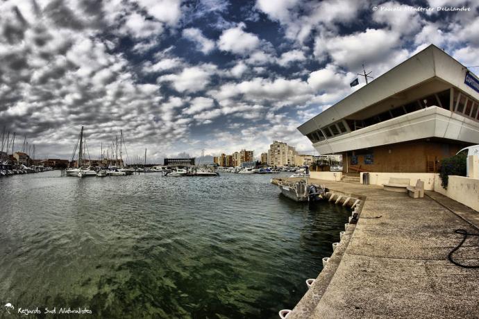 Port de Carnon