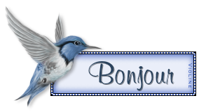Bienvenue