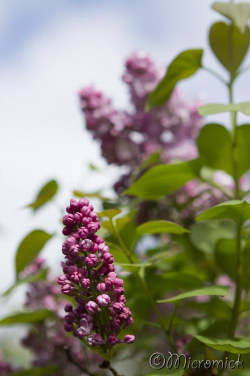 Cliquez pour agrandir.