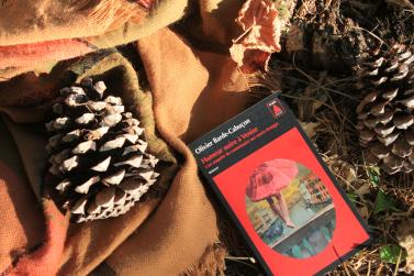 Une Enquête du Commissaire aux Morts Étranges, tome 4, Humeur Noire à Venise ; Olivier Barde-Cabuçon