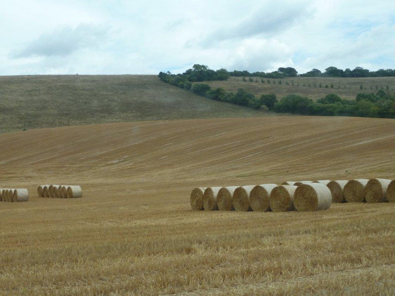 moissons 