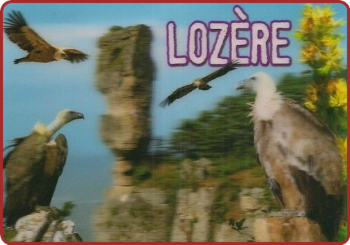 ╰⊱♥⊱╮ღ꧁ Département 09 ꧂ღ╭⊱♥≺