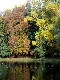  * Automne au Domaine de Bourgogne à Estaimbourg