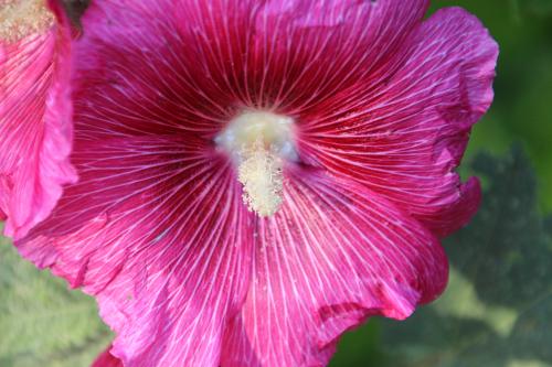 Chambre d'ôtes "Haut-Jardin" à Vignoux-sous-les-Aix
