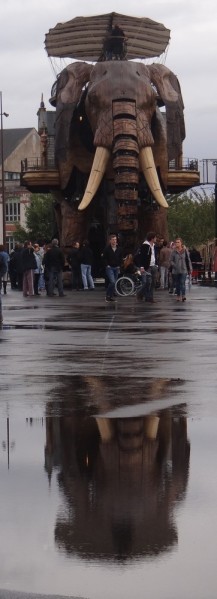 elephN09