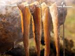 Comment fumer du poisson