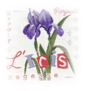 L'Iris de Lilipoints fin