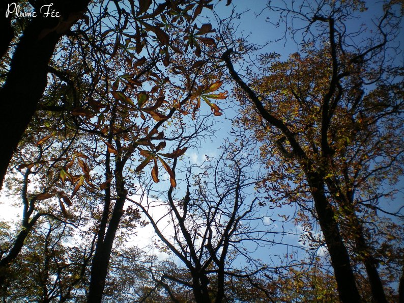 Image045.jpg