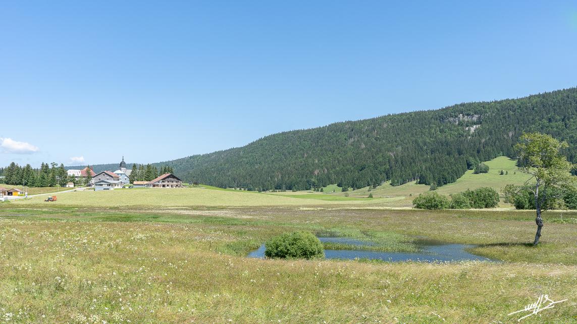 Le vert du Haut-Jura