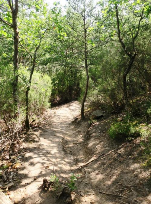 Visite du Colorado Provençal à Rustrel