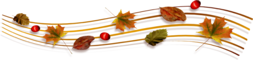 Barre séparatrice  automne