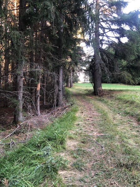 Les Allards - Fermeyer (Montclar)