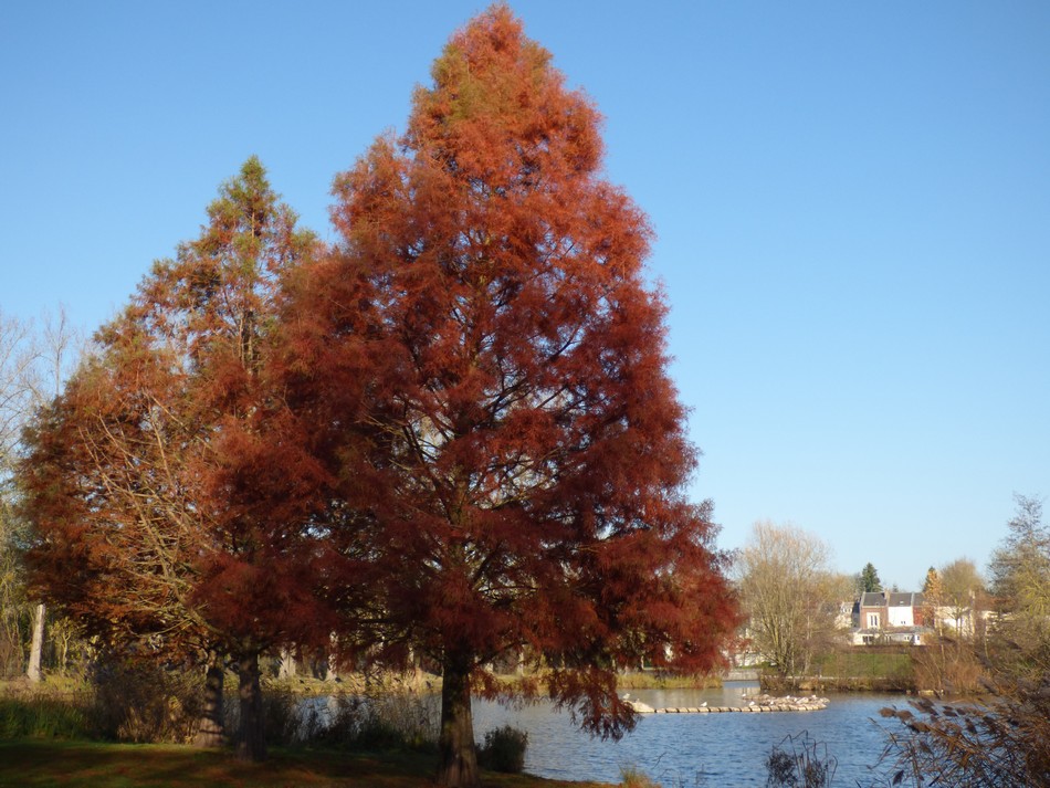 Irrésistiblement, elle m'appelle