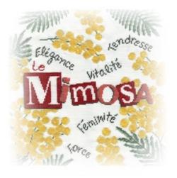 Le mimosa de Lili Points - fin