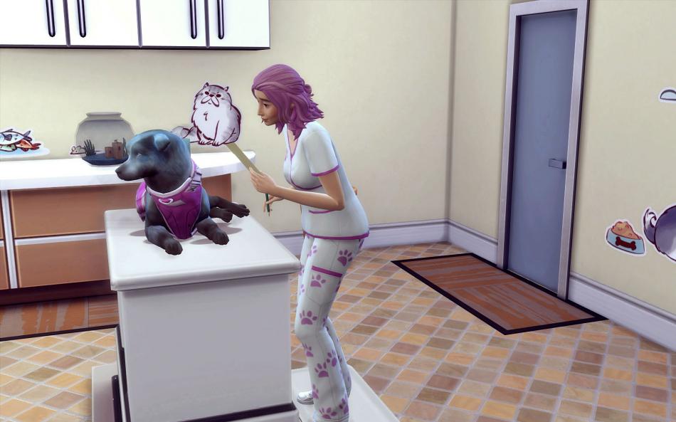 [CALF] Hiver 2 - Semaine 11 - Jours 71 à 74