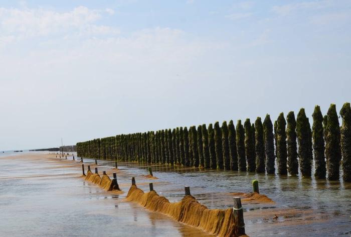 Département de la Manche 2ème partie