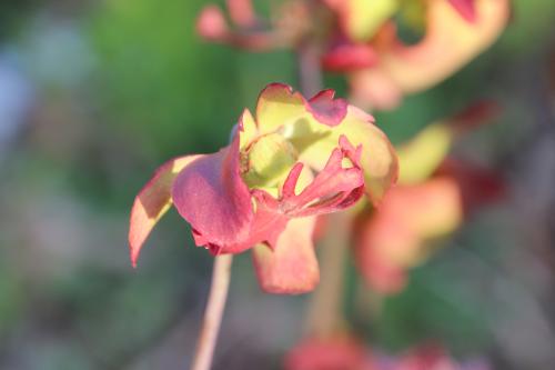 Chambre d'ôtes "Haut-Jardin" à Vignoux-sous-les-Aix