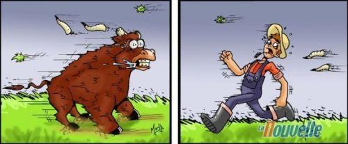 Un vent...
