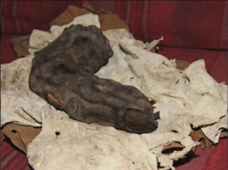 Crânes de forme inconnue