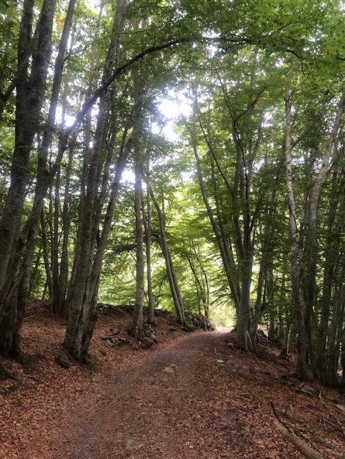 Les Rollands - Les Goirands (Montclar)
