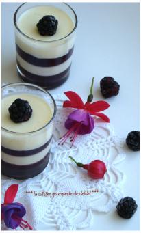 PANACOTTA AUX MÛRES