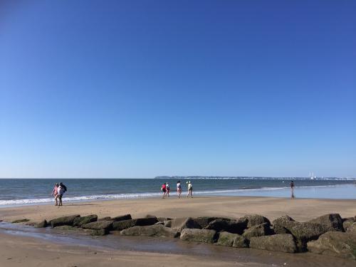 baignade